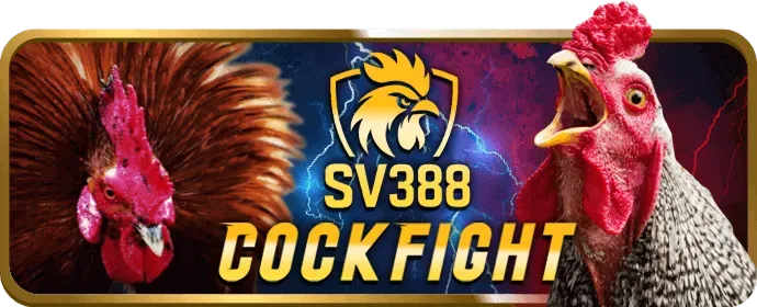 Quản lý tài khoản cá nhân VIP Z58Win